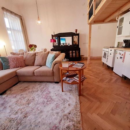 Central Loft Apartment ブラショフ エクステリア 写真