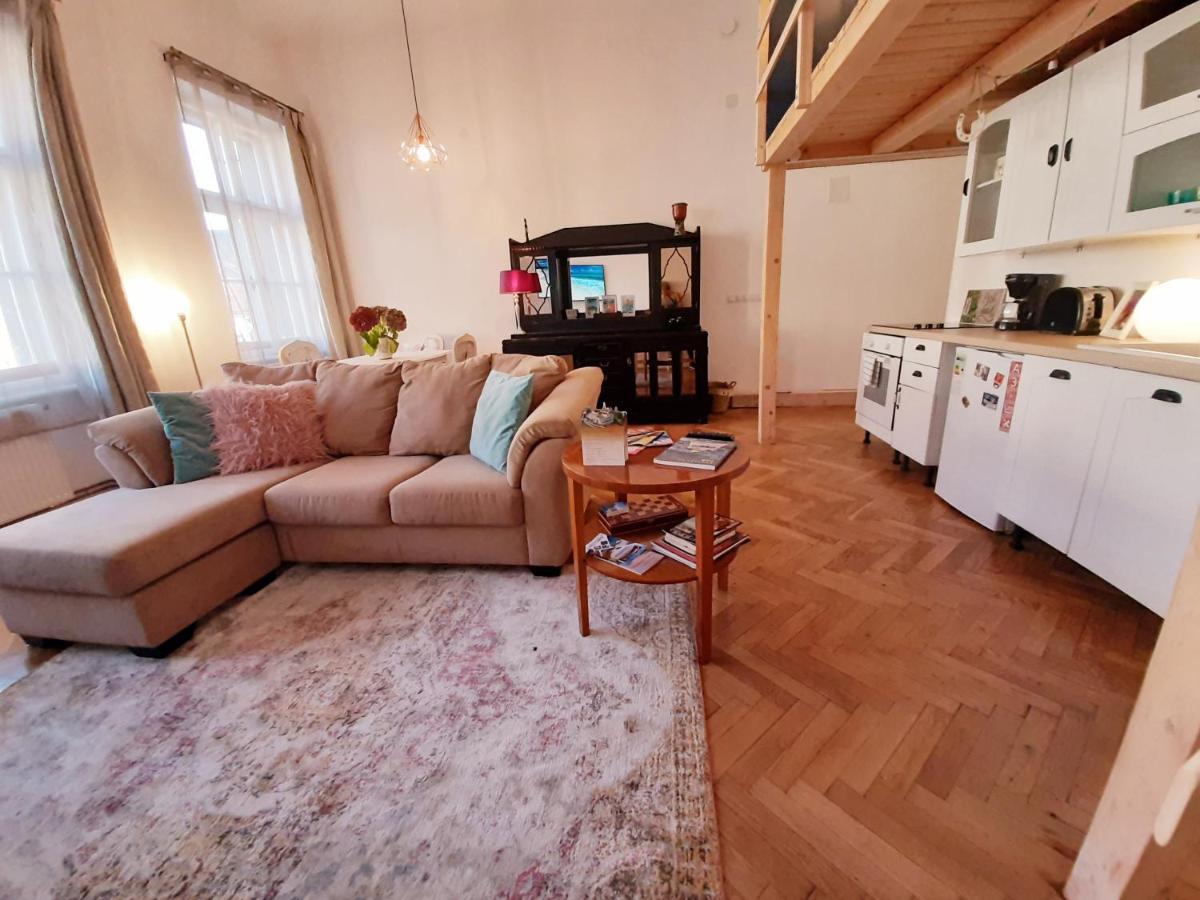 Central Loft Apartment ブラショフ エクステリア 写真