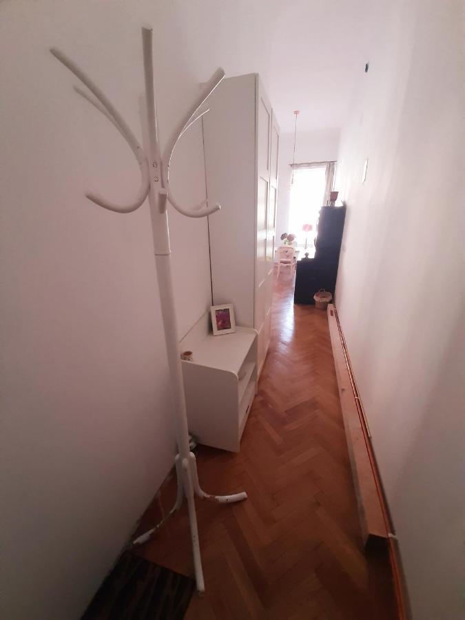 Central Loft Apartment ブラショフ エクステリア 写真