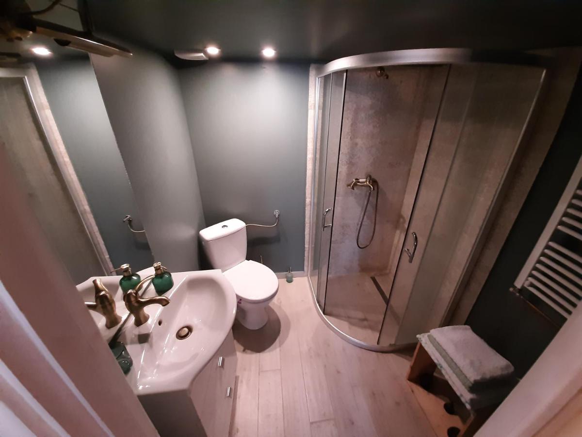 Central Loft Apartment ブラショフ エクステリア 写真