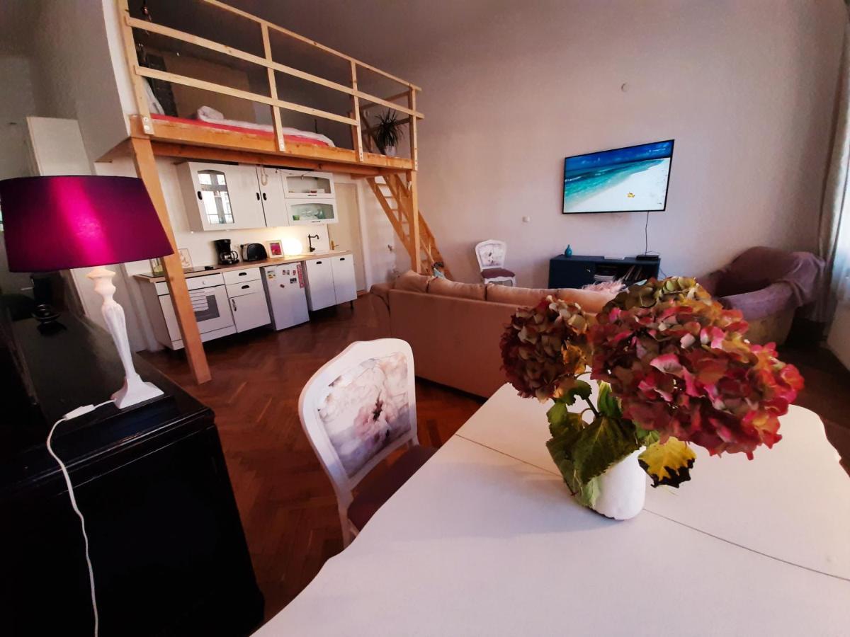 Central Loft Apartment ブラショフ エクステリア 写真