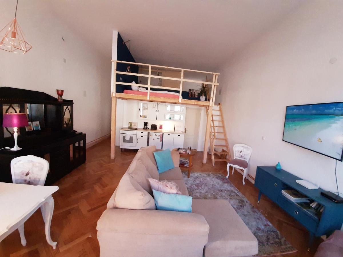 Central Loft Apartment ブラショフ エクステリア 写真