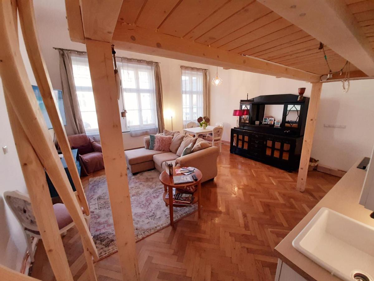Central Loft Apartment ブラショフ エクステリア 写真